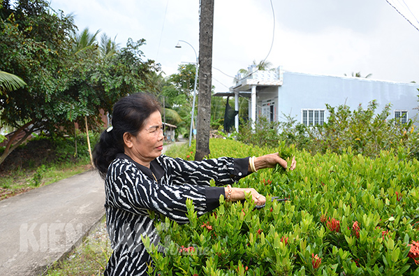 Đề nghị công nhận 5 xã nông thôn mới nâng cao ở Kiên Giang